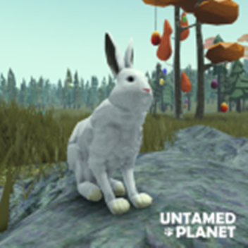 [EASTER] Untamed Planet