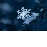 Snow queens/kings