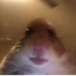 humpie