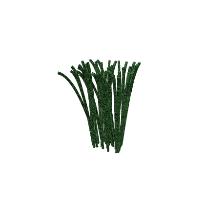 Tall Grass