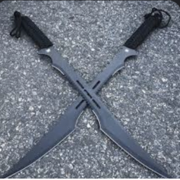 sword fighting