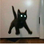 ~!!Star_Kittenz!!~