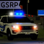 Georgia State Roleplay I (Bank and ATM robbery)