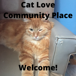 Cat Love Community Place