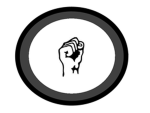 Steel Fist