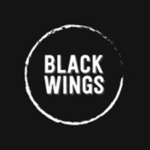 Black Wings Studios