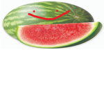 Melonbois bois