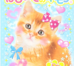 'Cake Mix