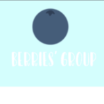 BERRYS GROUP