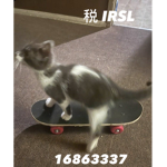 税 IRSL