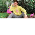 Flamingo Fan Clothing Group