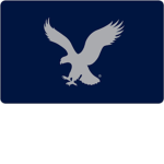 United States Armed Forces [S&E] [USAF]