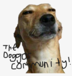 The Doggos Community