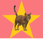 StaarCat Productions