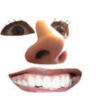 Mouth Breathers