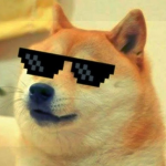 doge_kid time