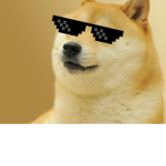 Dog dog run wild
