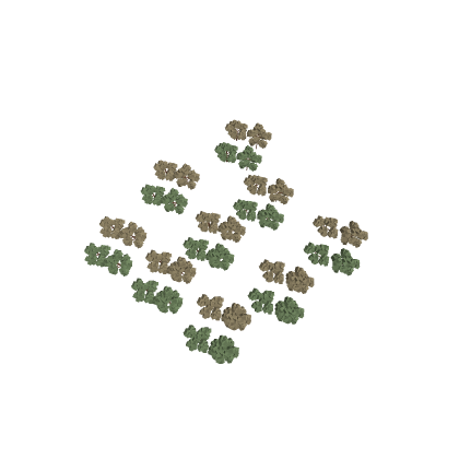Forest Trees