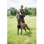 Nicholas County K-9 Division Academy