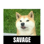 DOGESAVAGE