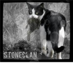 ~★StoneClan★~