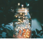 ~Firefly Fireworks~