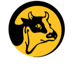 BigCowUnited