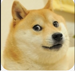 Dat meme place