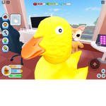 SUPER DUCKS CONTEST