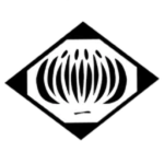 「 First Division 」