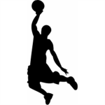 [NEBA] New Era Basketball Association