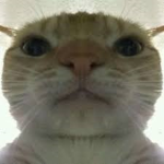 silverfox20009