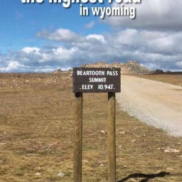 SLIME CURRYBOWL IN WYOMING