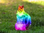 Da Squirrel Squad!