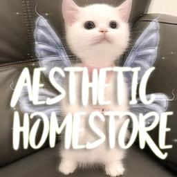 Aesthetic homestore