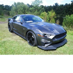 Mustang Fan Group