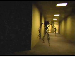 The Lost VHS Tape...