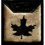 |~Treeclan~|