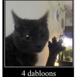 DE WONKYZ DABLOON CREW!?!?!