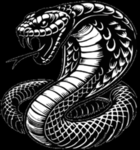 Grey Cobra's