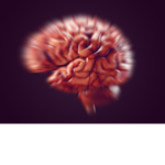 ADHD land