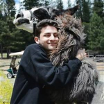 LLAMA Power