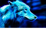 ~wolf girls~