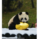 ######### ##### PANDAS!!!!!!!!!!!!!!!!