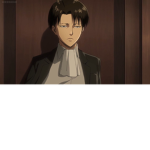 levi cleaning
