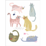 KadyCat Club <3