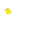chikens and ducks