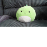 Team pickle forever