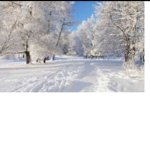 Thewinters