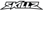 LIT SKILLS